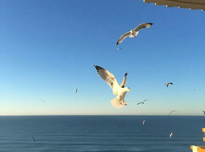 Ma Vue En Algarve Appartamento Portimão
